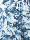 Banana leaf Charles trunks 7