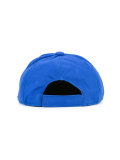 Bad Bugs cap 