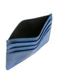 multiple slots cardholder