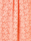 embroidered dress
