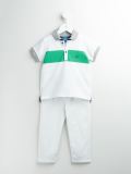经典polo衫