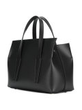 Duvalia tote