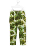 palm tree print trousers 