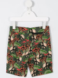palm tree chino shorts 