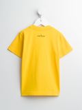 logo饰T恤