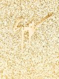signature clutch