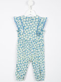 Aurelia romper