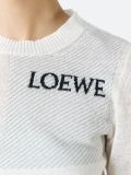 logo jumper