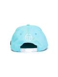 skull and crossbones cap