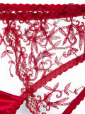 lace briefs 