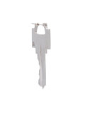 key earrings