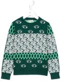 'Eye & Tiger' jumper