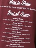 'Best in Show'套头衫