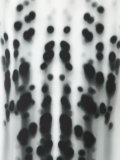 shift dress