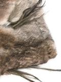 fur panel scarf