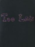 Too Late套头衫