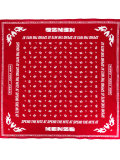 printed scarf