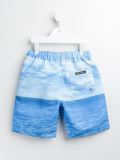 'Goodboy Seascape'泳裤