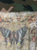butterfly print T-shirt