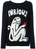 Curious monkey jumper 