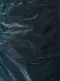 iridescent swim shorts