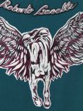 'Pegasus'套头衫