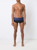 panelled swimming trunks