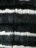 fur vest