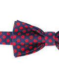 printed bow tie 