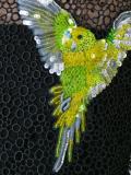 'Budgie'上衣