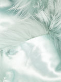 fur collar