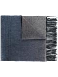 two-tone fringed scarf