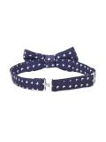 butterfly print bow tie