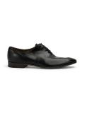 Elba oxfords