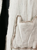 shortsleeved coat 