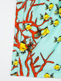 print swim shorts