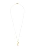 Peter fish necklace