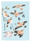 'Birds Book'手拿包