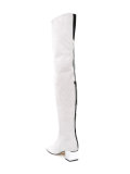 metallic thigh length boots