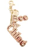 logo keyring 