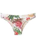 printed bikini briefs