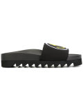 Flash Smiley sliders 
