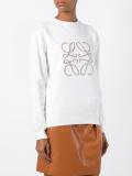 embroidered sweatshirt