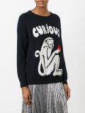 Curious monkey jumper 