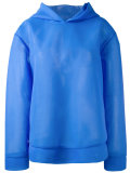 semi-sheer hoodie