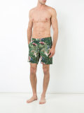 botanical Calder trunks 7.5