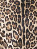 leopard print dress