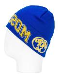varsity logo beanie