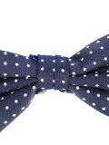 dotted bow tie