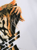 tiger print T-shirt 